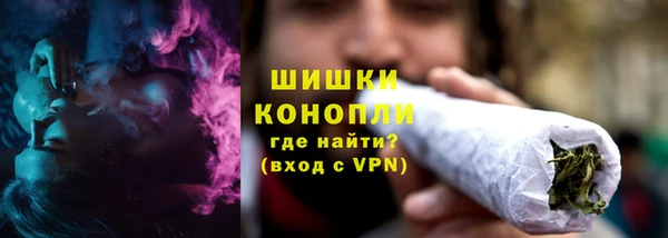 молекула духа Мегион