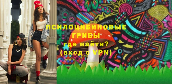 молекула духа Мегион