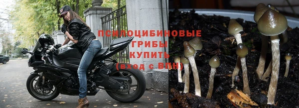 винт Медвежьегорск