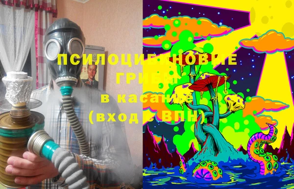 молекула духа Мегион